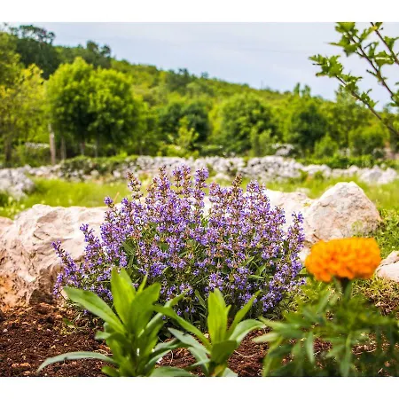 فيلة Charming Katja With Private Pool And Ac In Rooms, Near Split